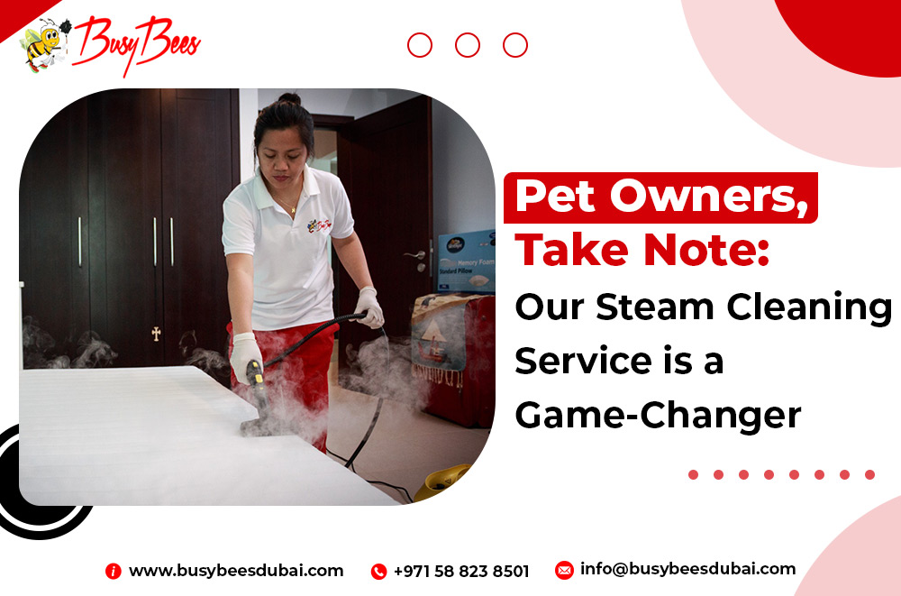 Pet-Friendly Steam Cleaning That Banishes Odors & Allergens