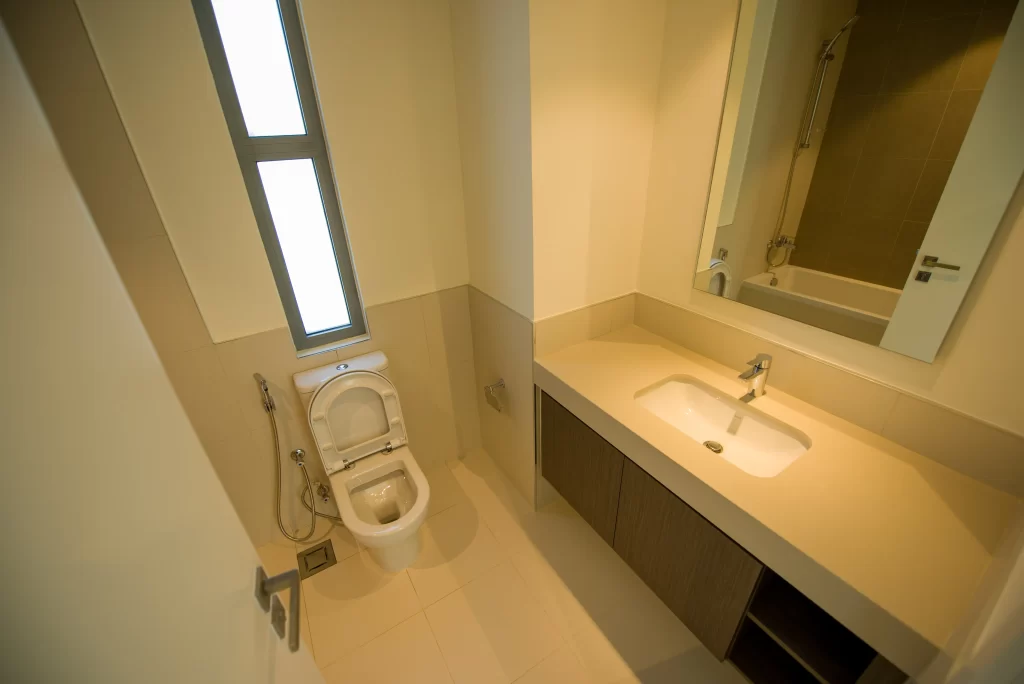 Bathroom Cleaning and Disinfection