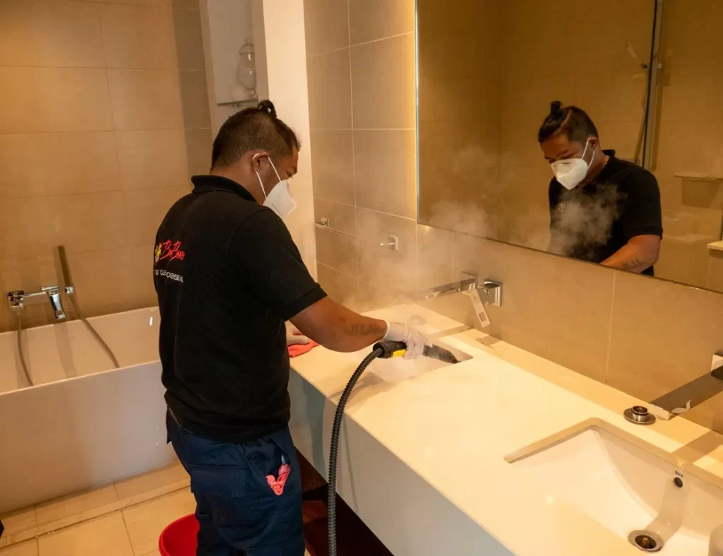 Steam Cleaning and Sanitization